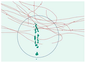 Cyclone tracks which affected the Maldives between 1877 and 2004